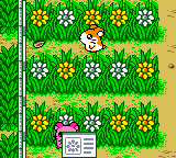 screenshots/Game Boy Color/Hamtaro - Ham-Hams Unite!/Hamtaro - Ham-Hams Unite! (Eng) 008.png